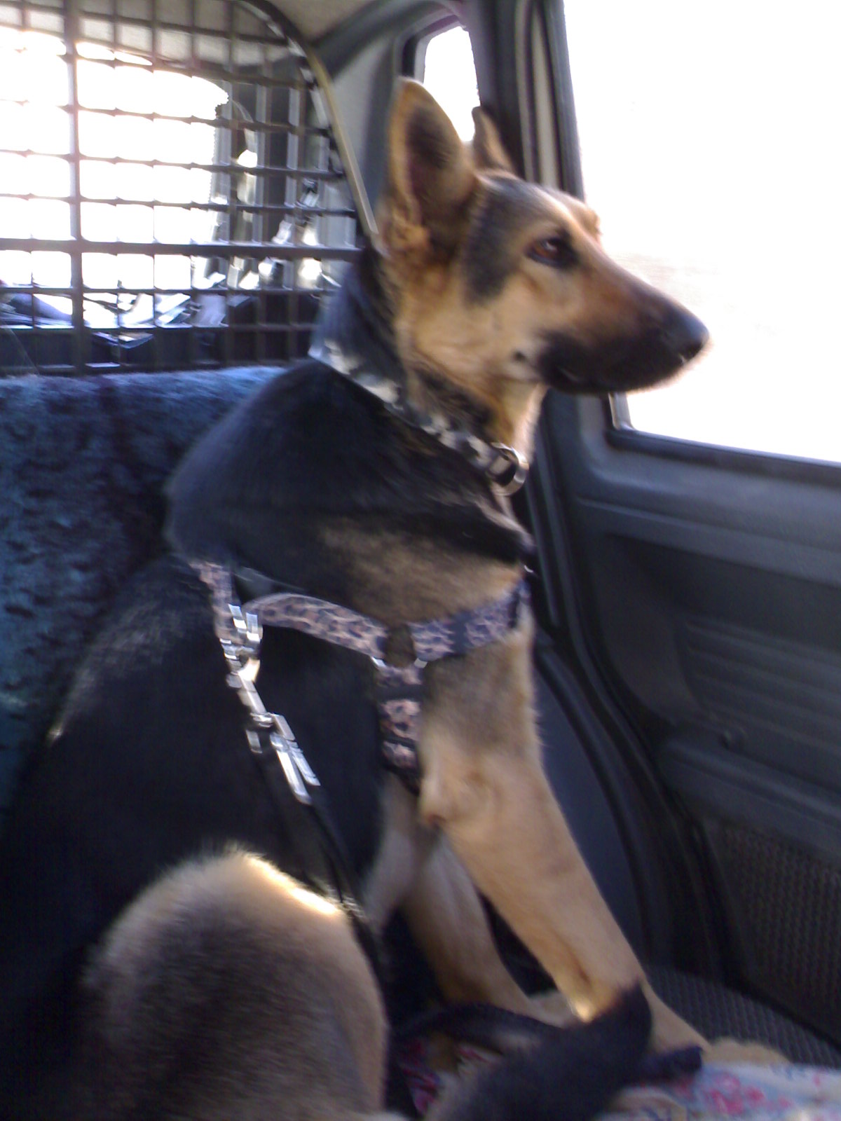 11032007022.jpg