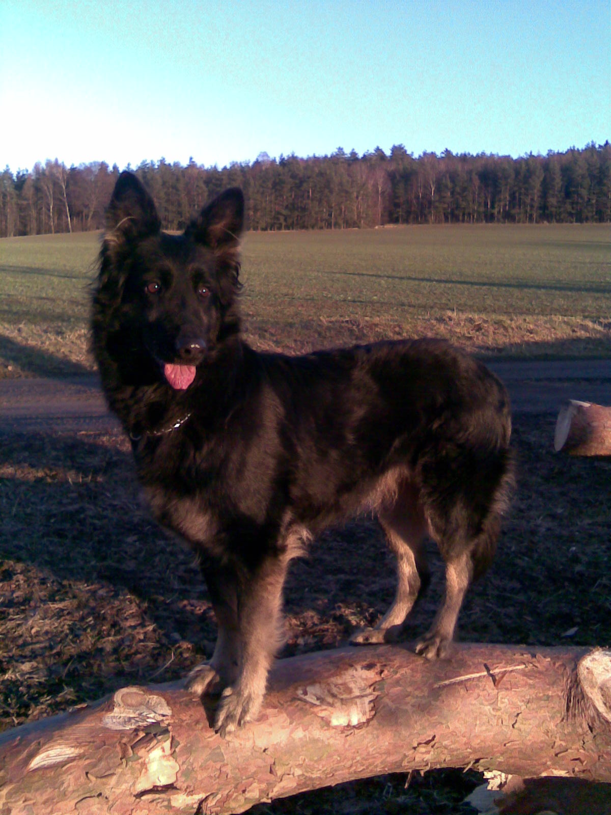Obraz025.jpg
